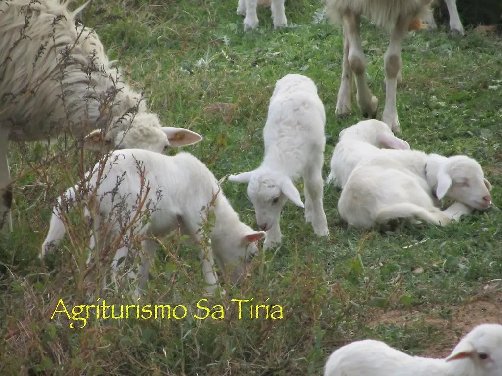 팜스테이 Agriturismo Sa Tiria 툴라다